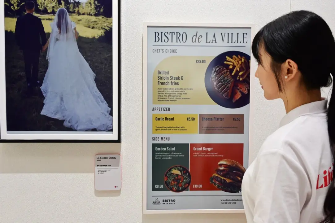 LG 32-inch 2K Color E Ink Display