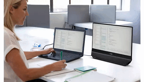 Philips 24B2D5300 dual display monitor with two 23.8-inch IPS panels