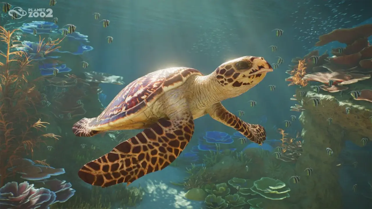 Planet Zoo 2 Release Date Set for October 13, 2026