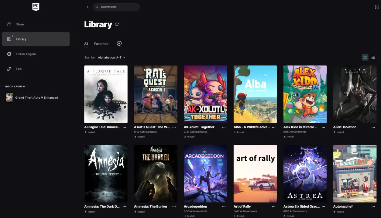 Epic Games Epic Games Launcher