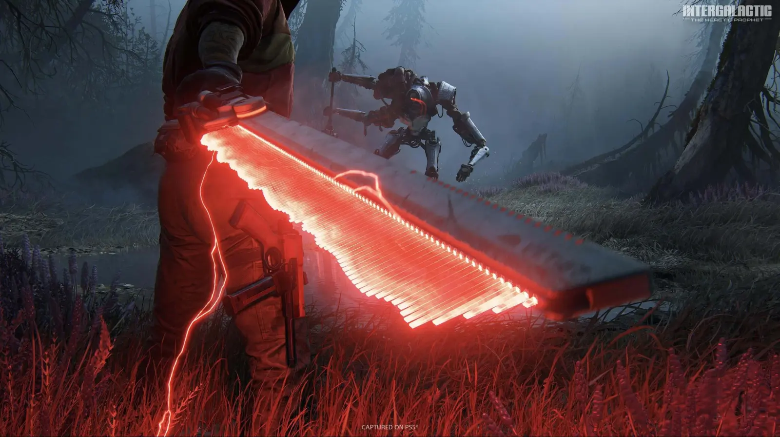 Naughty Dog logo