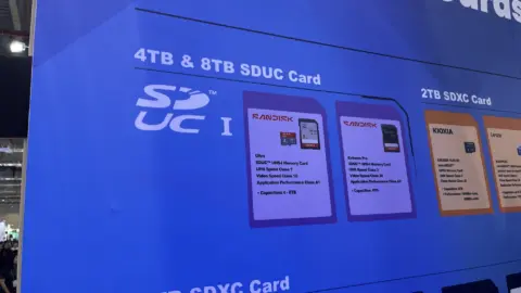 SanDisk SanDisk SDUC SD Cards