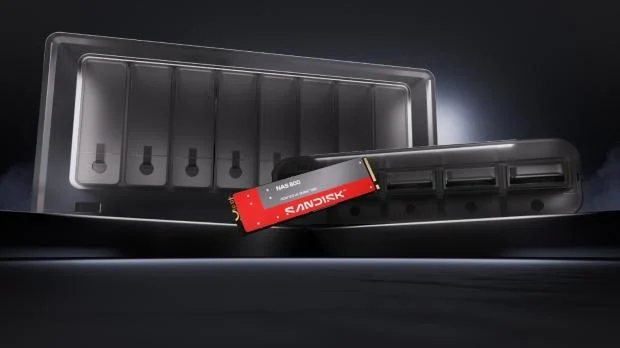 Sandisk NAS 800 NVMe SSD and NAS 600 SATA SSD packaging
