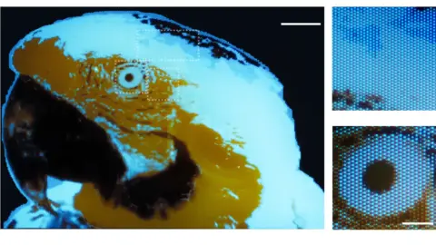 ETH Zurich OLED Display Technology