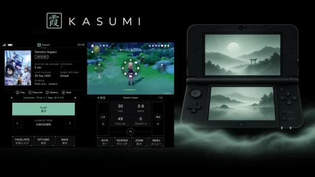 Nintendo 3DS handheld device