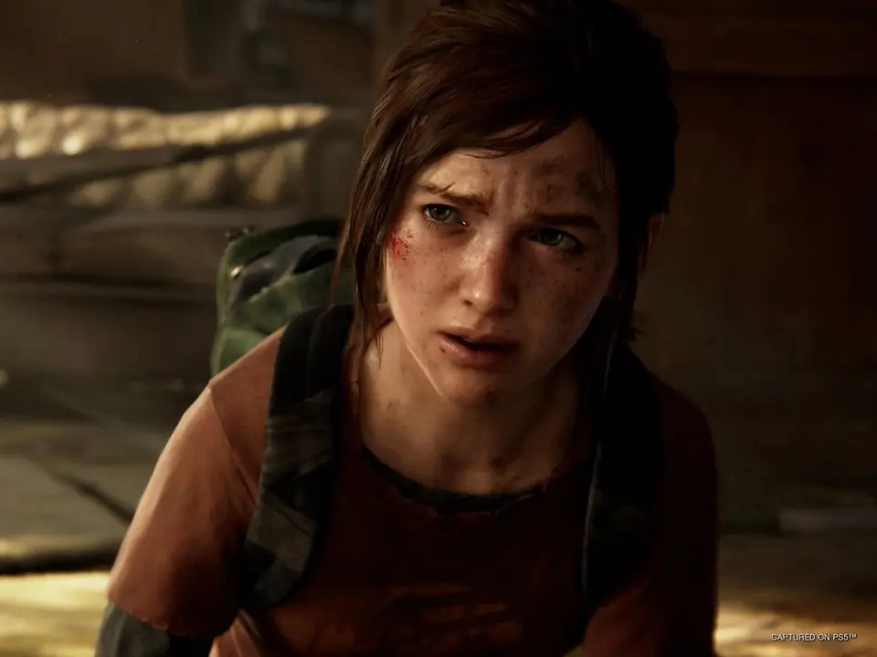 Naughty Dog The Last of Us