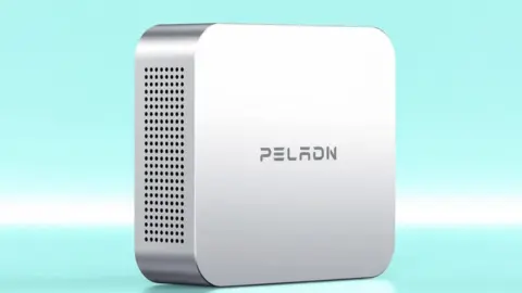 Peladn WO5