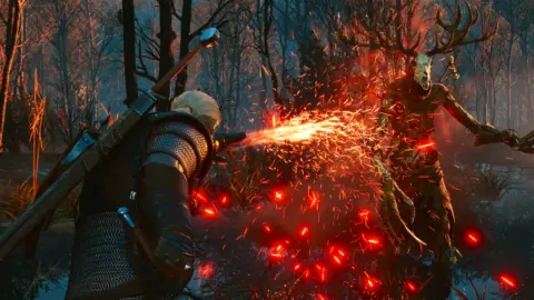 CD Projekt The Witcher 3