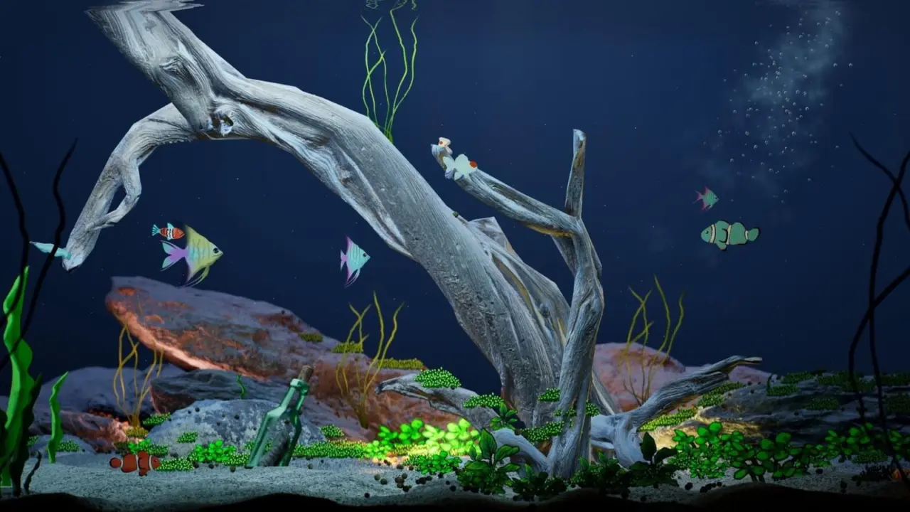 byKaleb Drawquarium
