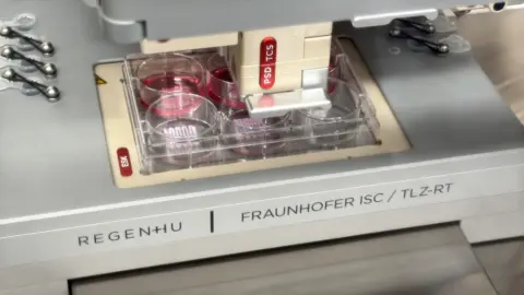 Fraunhofer Institute develops bio-inks that self-organize into natural tissue structures