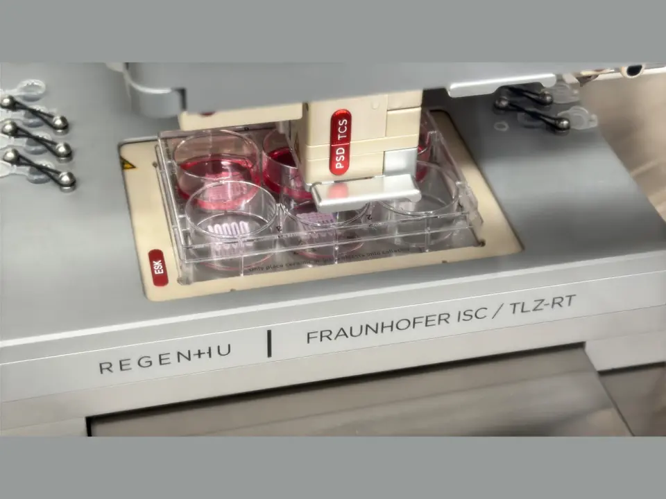 Fraunhofer Institute develops bio-inks that self-organize into natural tissue structures