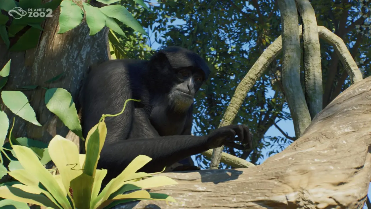 Planet Zoo 2 Released on PC, PS5, and Xbox Series X|S with New Sanctuary and Aquarium Modes