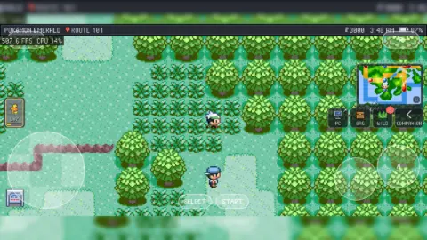 lidor30 PokeDaisy