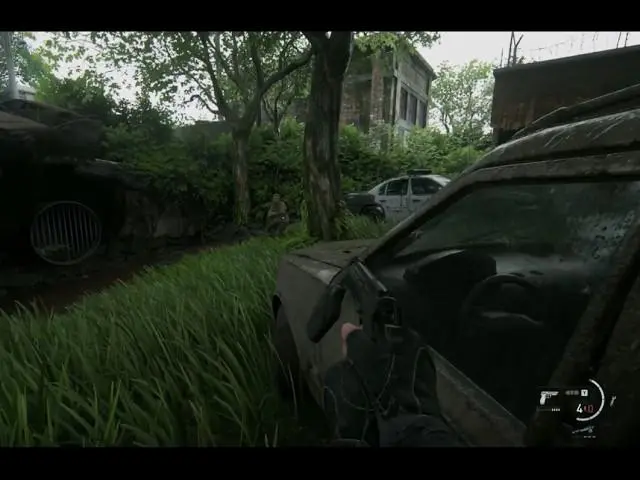 The Last of Us Part II Remastered first-person view mod